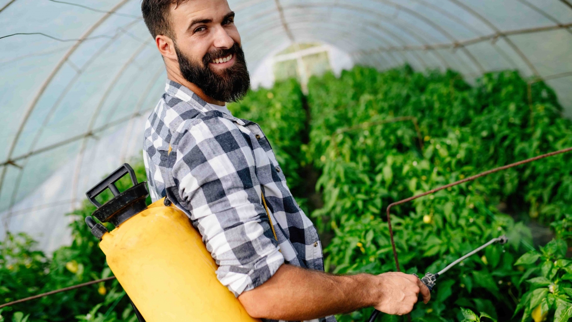 Weed Spraying