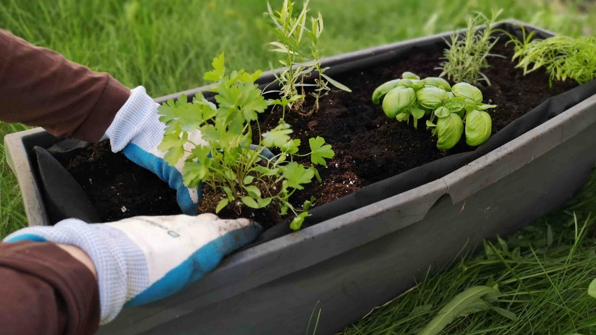 Custom Build Planter Boxes