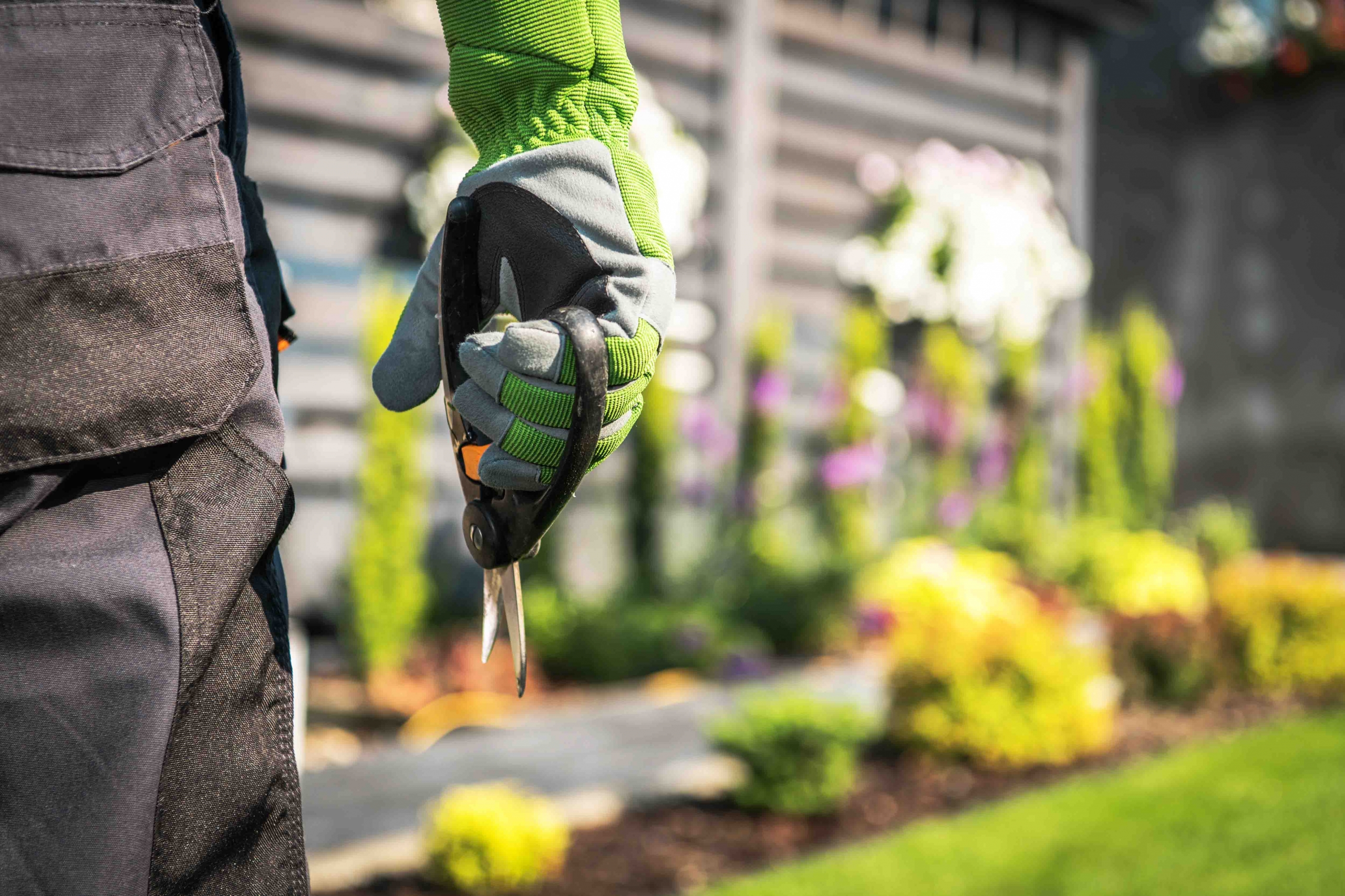 Gardener with Scissors